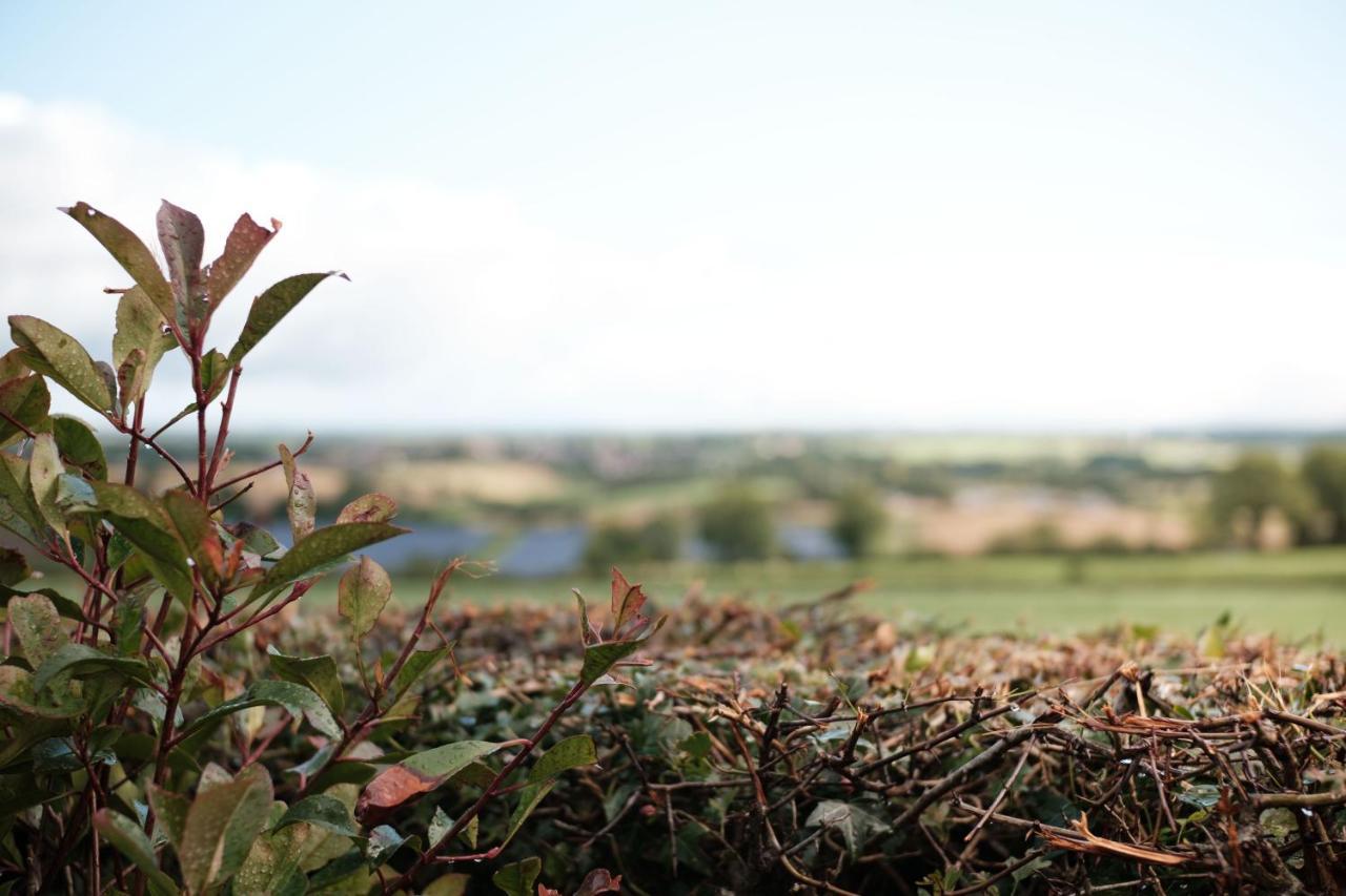 Drumnavaddy Cottage Dromore  Esterno foto